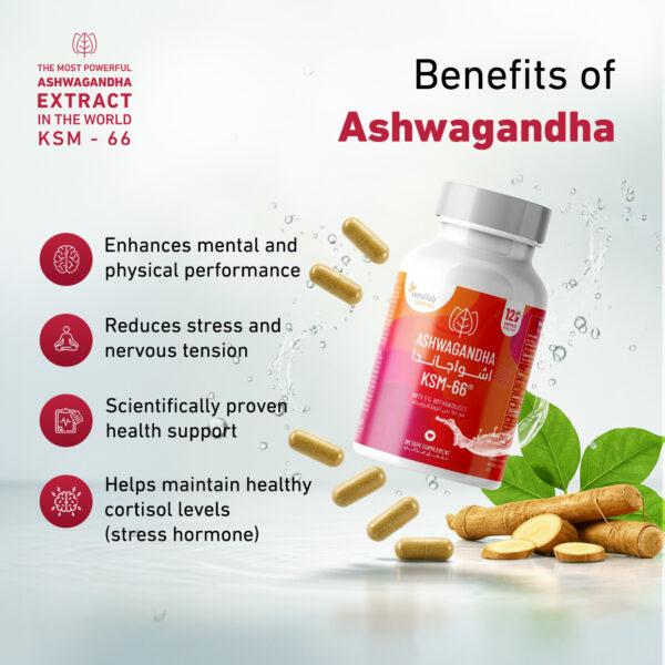 Ashwagandha 600 Mg KSM-66