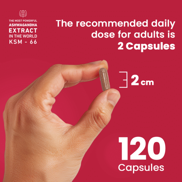 Ashwagandha 600 Mg KSM-66