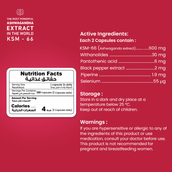 Ashwagandha 600 Mg KSM-66