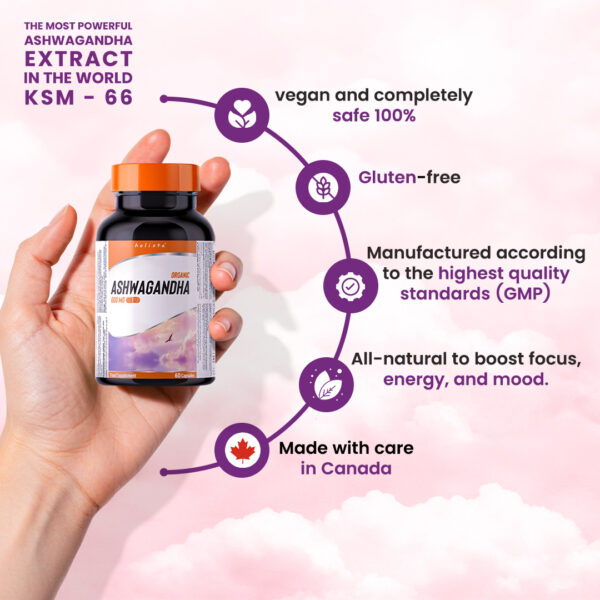 Ogranic Ashwaganda KSM-66 600mg