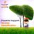 Milk Thistle 250 Mg 90 Softgels