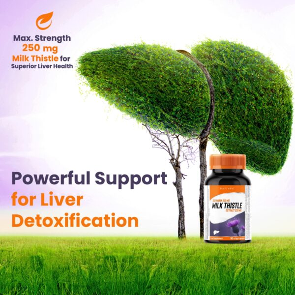 Milk Thistle 250 Mg 90 Softgels