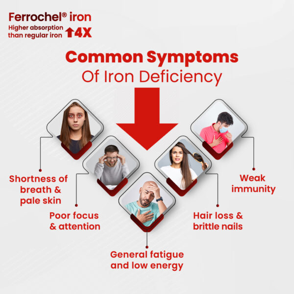 أعراض نقـــــــــص الحديد -copy Sensilab Iron - 30 Capsules